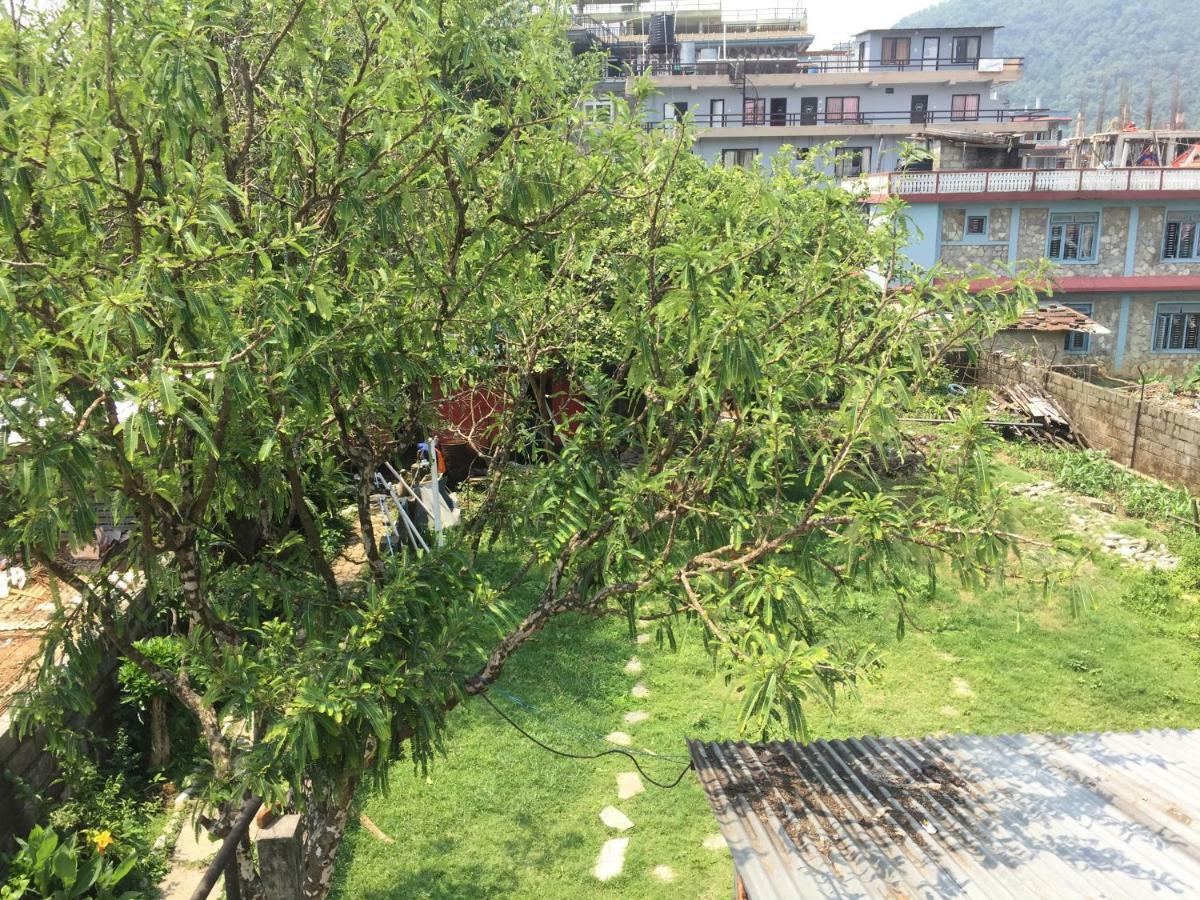 Nepalaya Eco Hostel Pokhara Esterno foto